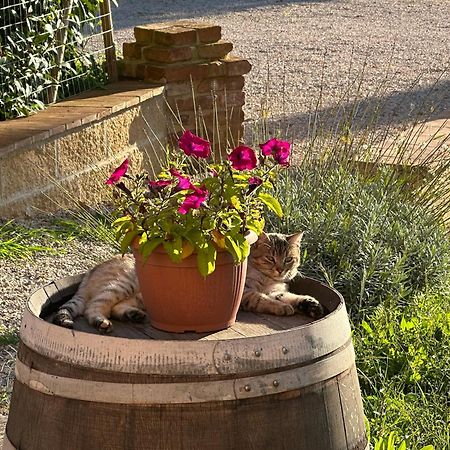 Ferienwohnung Fornace Del Conte Abbadia di Montepulciano Exterior foto