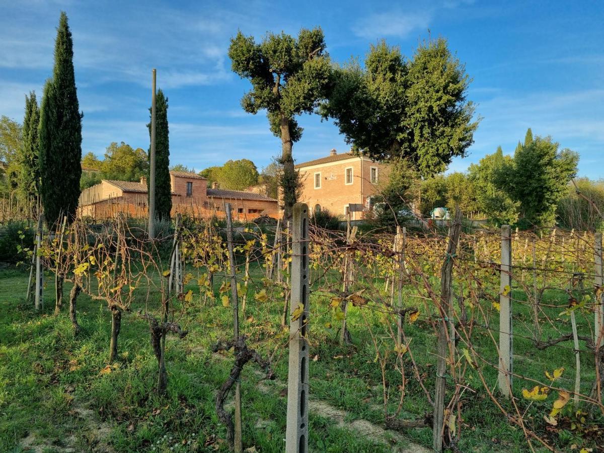 Ferienwohnung Fornace Del Conte Abbadia di Montepulciano Exterior foto