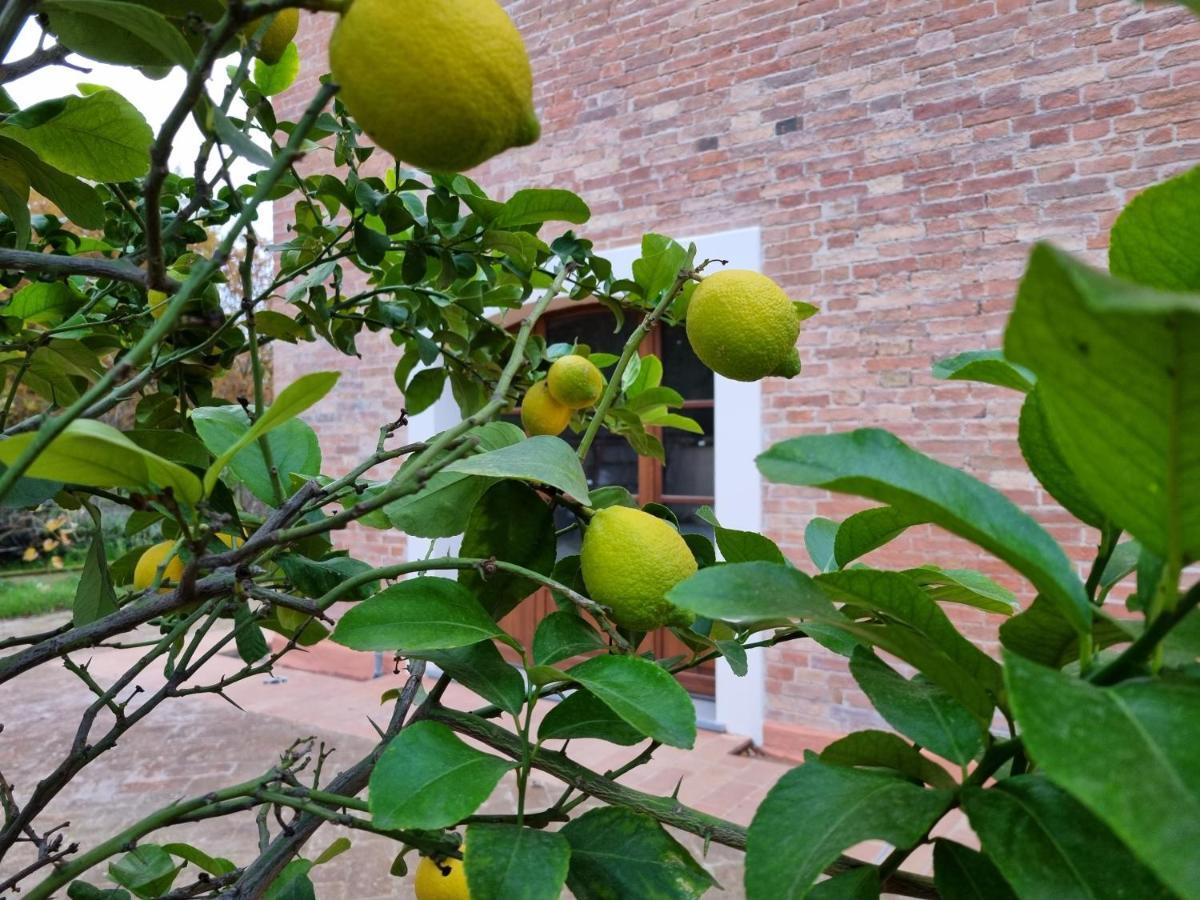 Ferienwohnung Fornace Del Conte Abbadia di Montepulciano Exterior foto