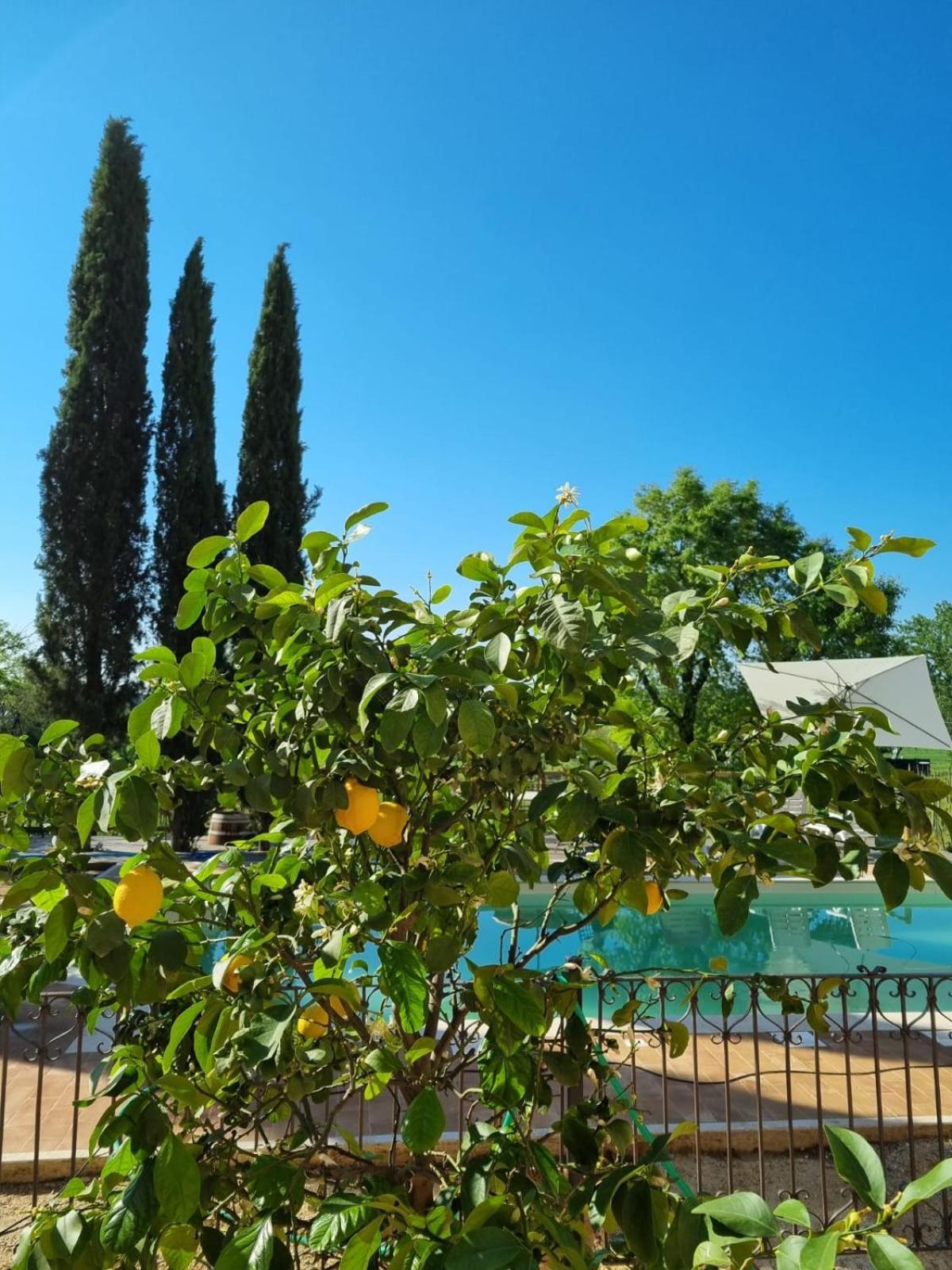 Ferienwohnung Fornace Del Conte Abbadia di Montepulciano Exterior foto