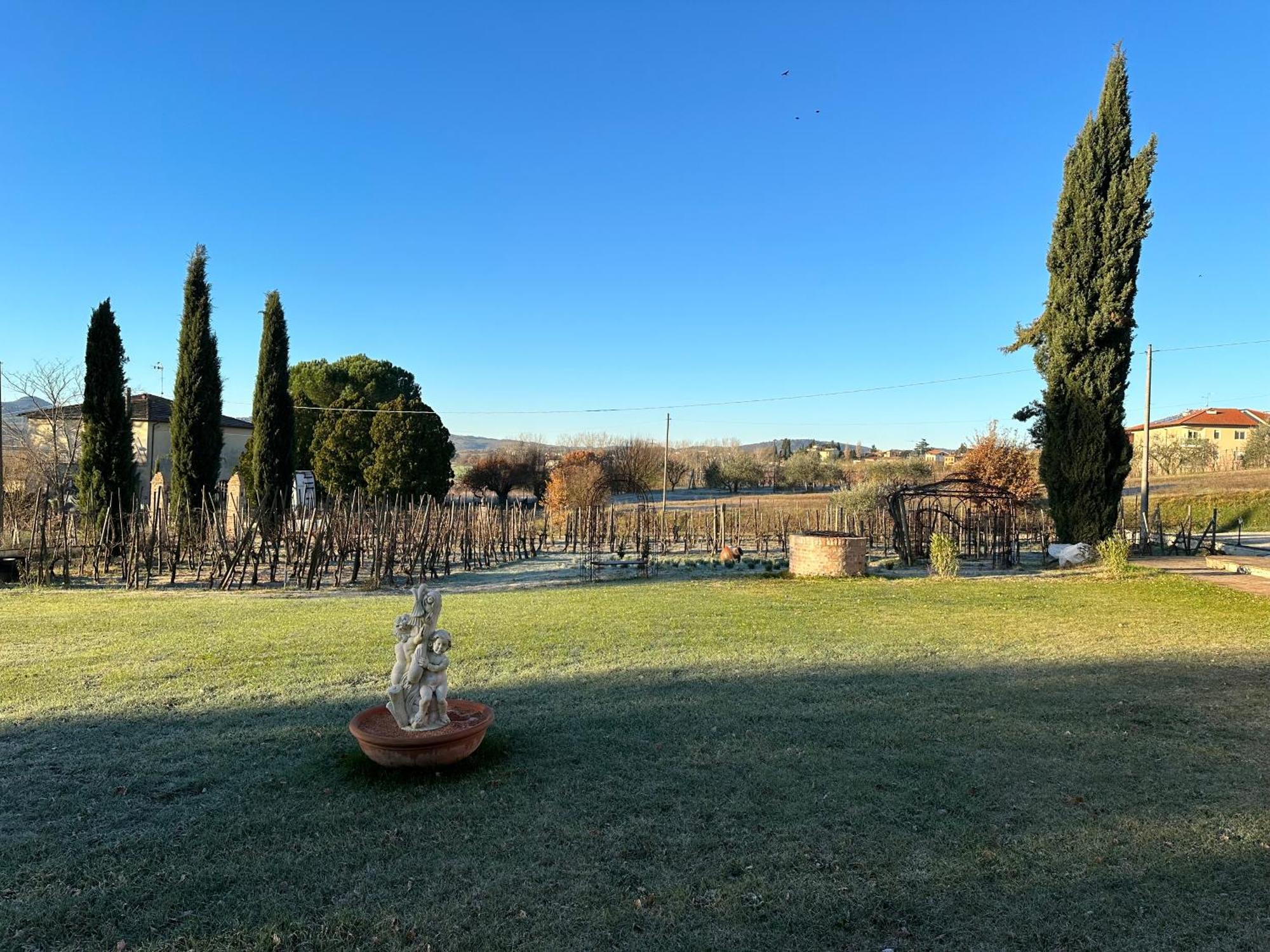 Ferienwohnung Fornace Del Conte Abbadia di Montepulciano Exterior foto